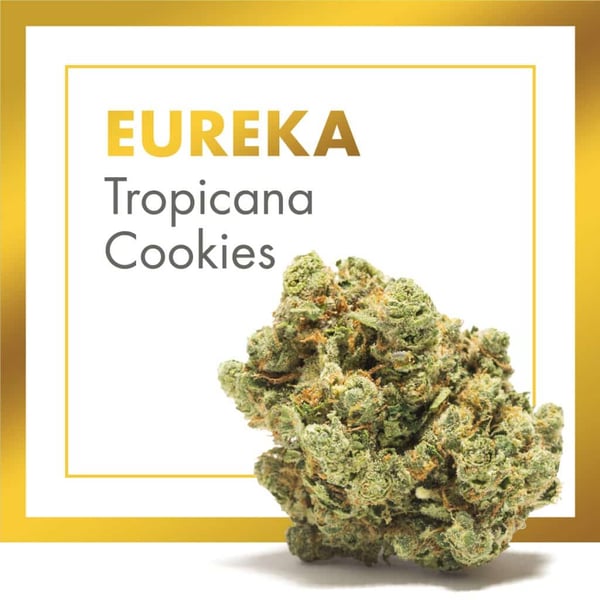 Tropicana Cookies CBD Eureka Cannactiva