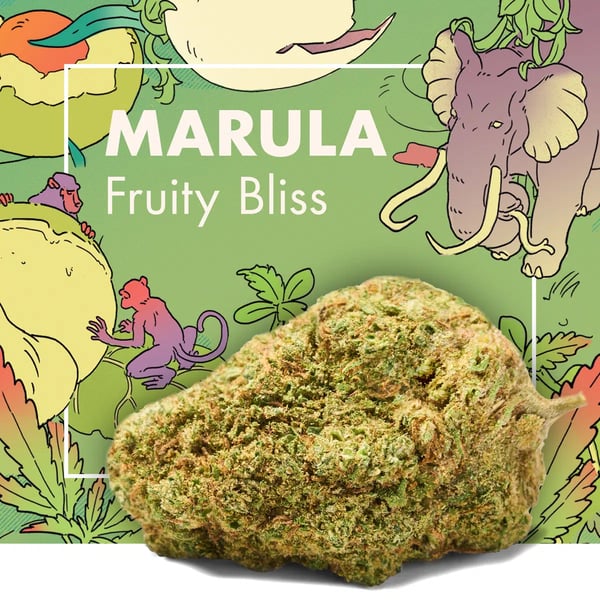 MARULA Fruity Bliss CBD Cannactiva
