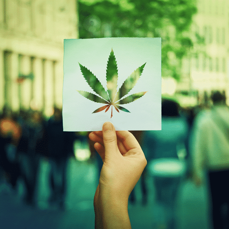 Historia del Cannabis USA