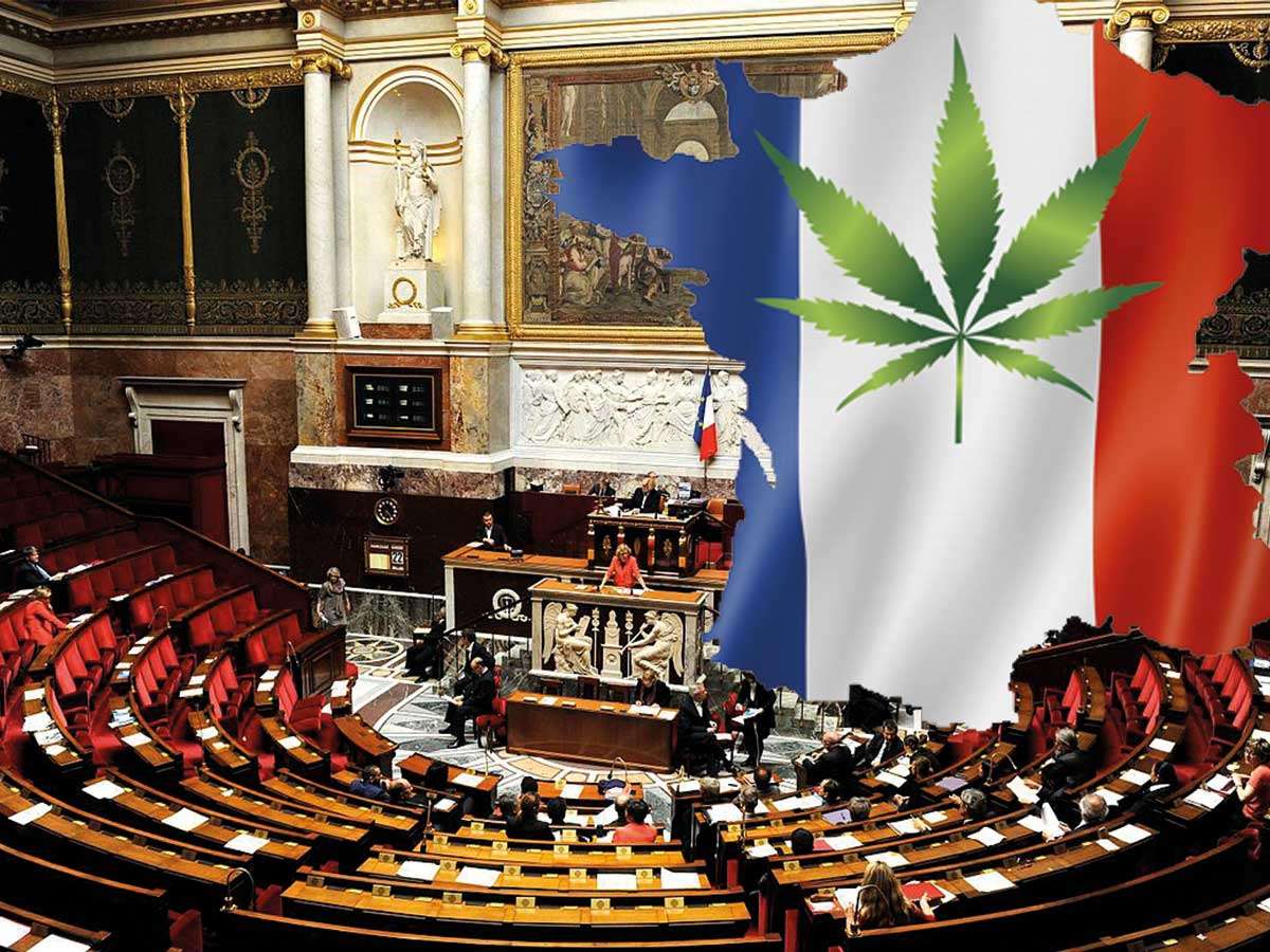 Francia estudia subir el límite legal de THC al 1%.