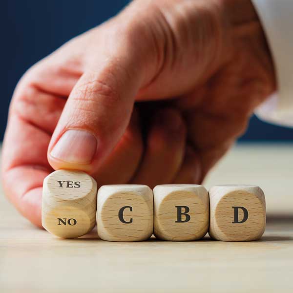 CBD legal Francia