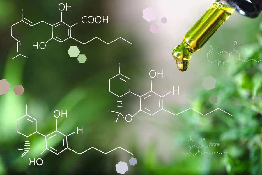 Tipos de cannabinoides del cannabis y sus efectos