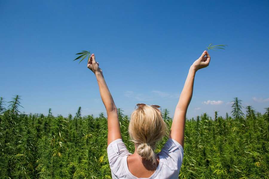 Receptores cannabinoides: clave para comprender los efectos del cannabis