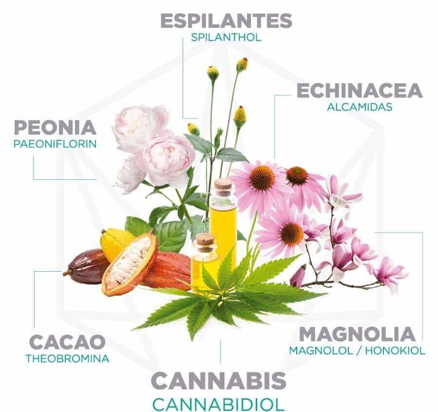 Cosmética que activa el sistema endocannabinoide