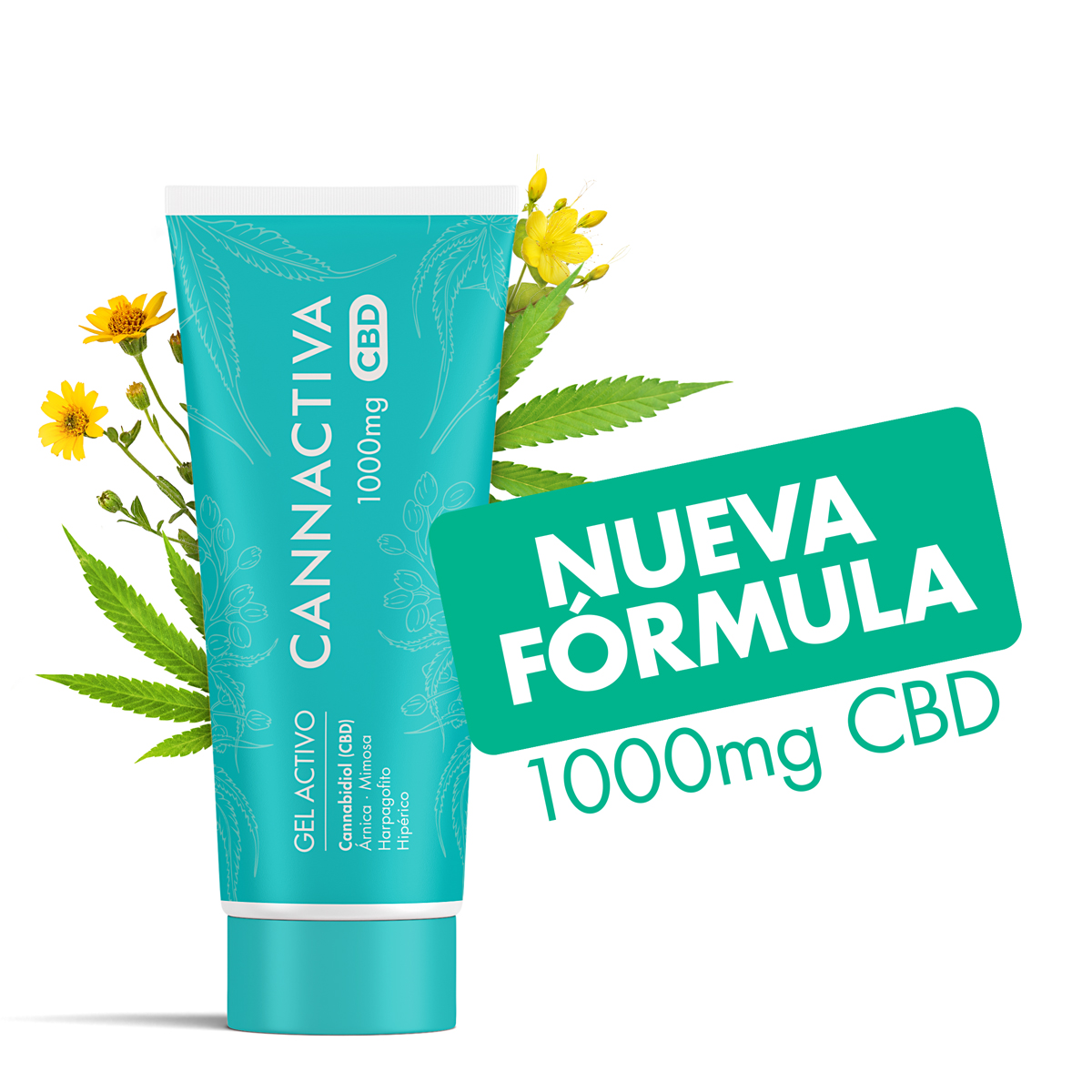 CBD Marque Blanche - Votre Propre Ligne CBD - Cannactiva