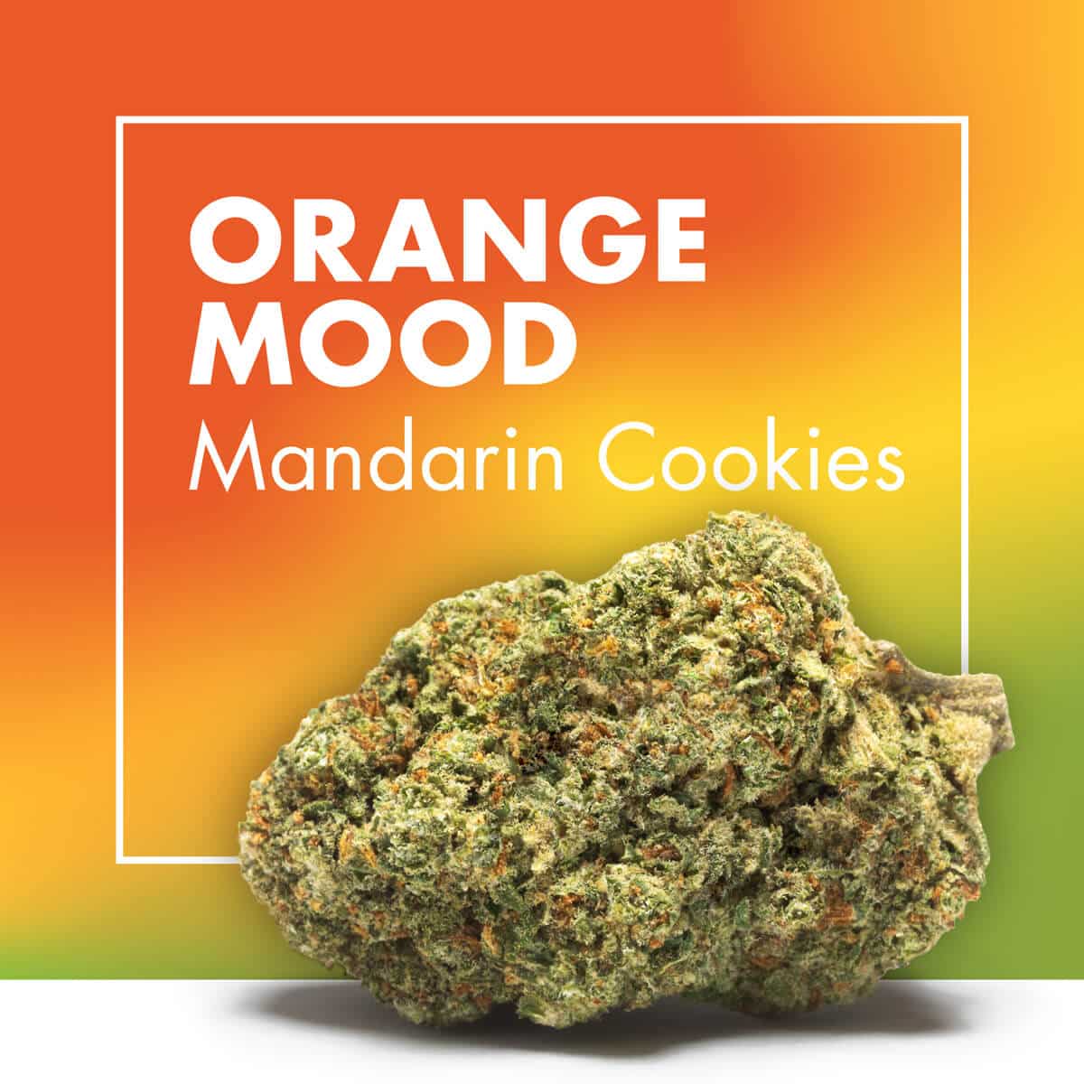 Flor de CBD Orange Mood