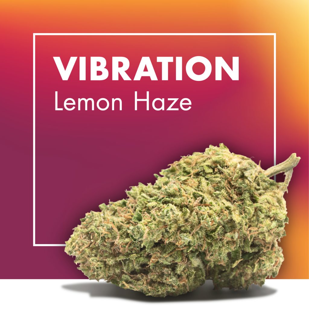 lemon haze CBD
