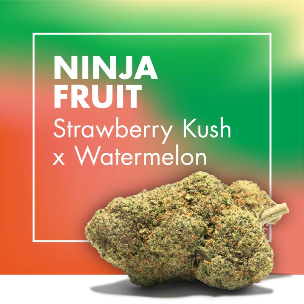 Ninja (Strawberry Kush CBD x Watermelon CBD)