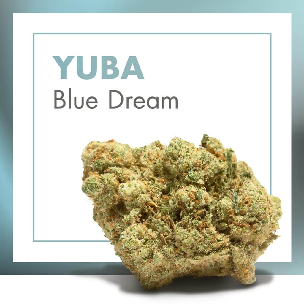 blue dream CBD