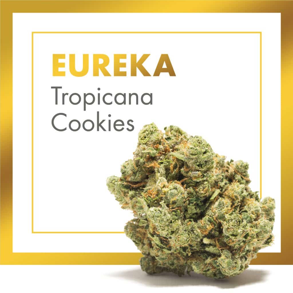 tropicana cookies CBD