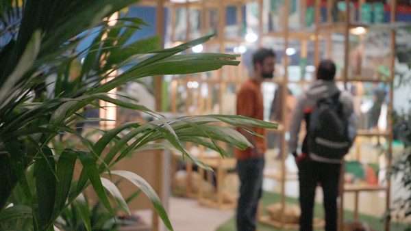 CBD Business Fair