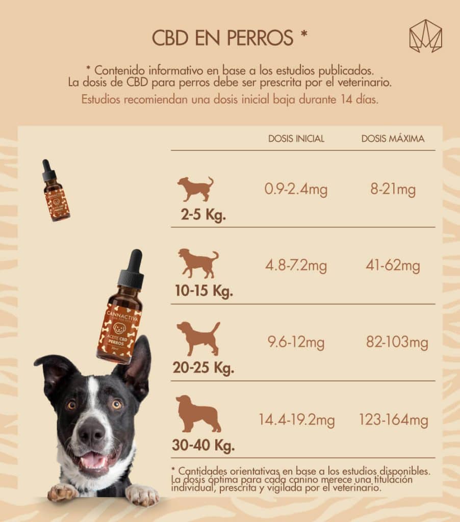 Dosis de CBD utilizadas en animales, según estudios. Contenido informativo NO PRESCRIPTIVO. Consulte con el veterinario antes de usar CBD con su perro. 