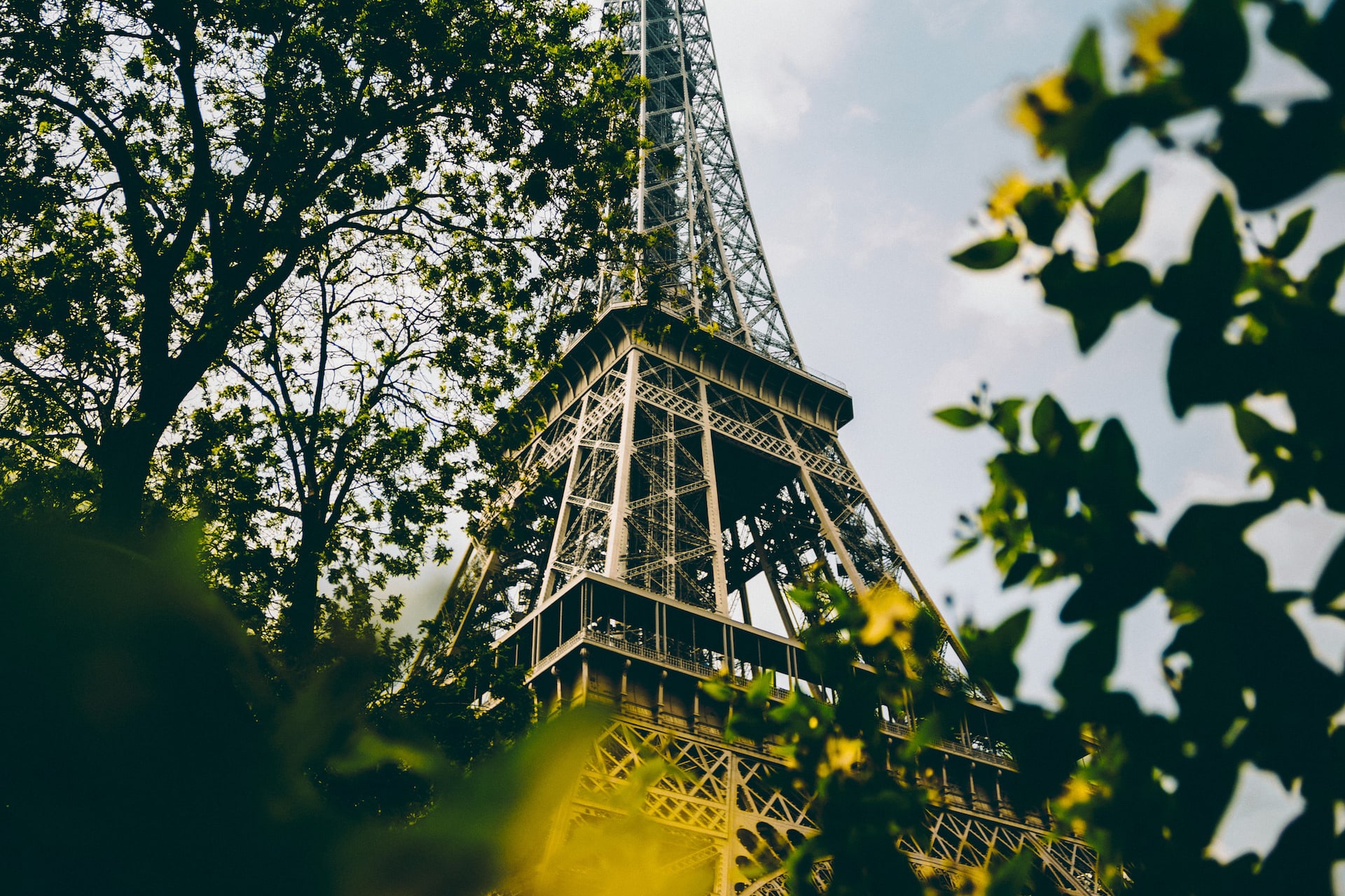 El CBD es legal en Francia en todas sus formas: flores CBD y productos CBD