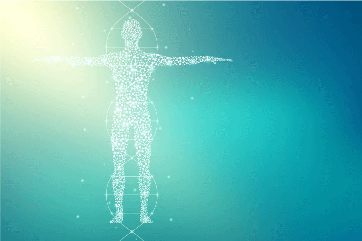 Enzimas de endocannabinoides: Qué son y su potencial terapéutico
