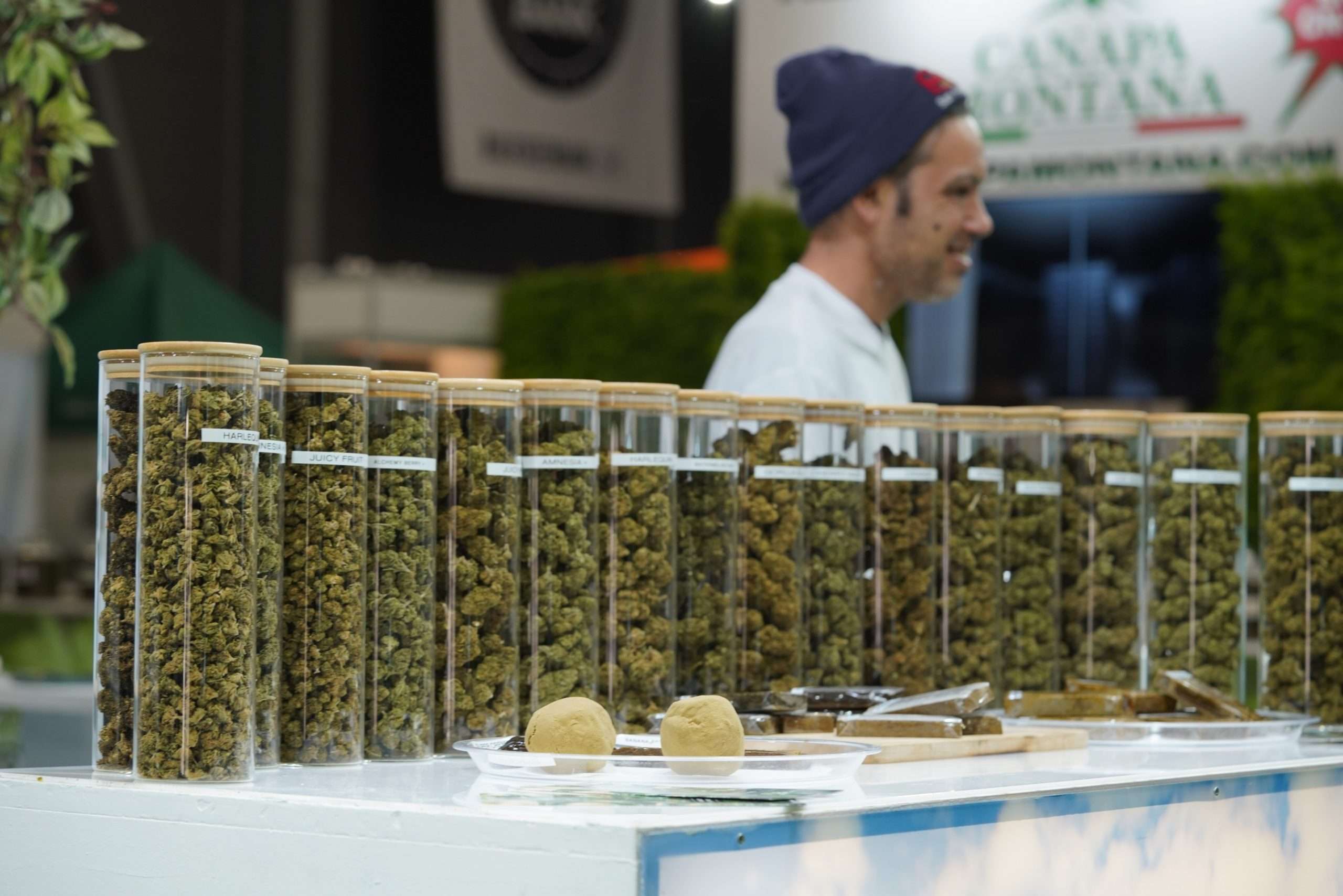 Cambios en la legislación del cannabis en la República Checa