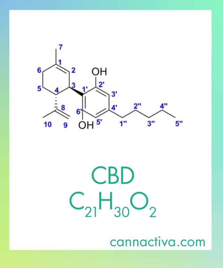 Molécula de CBD o cannabidiol, fórmula química