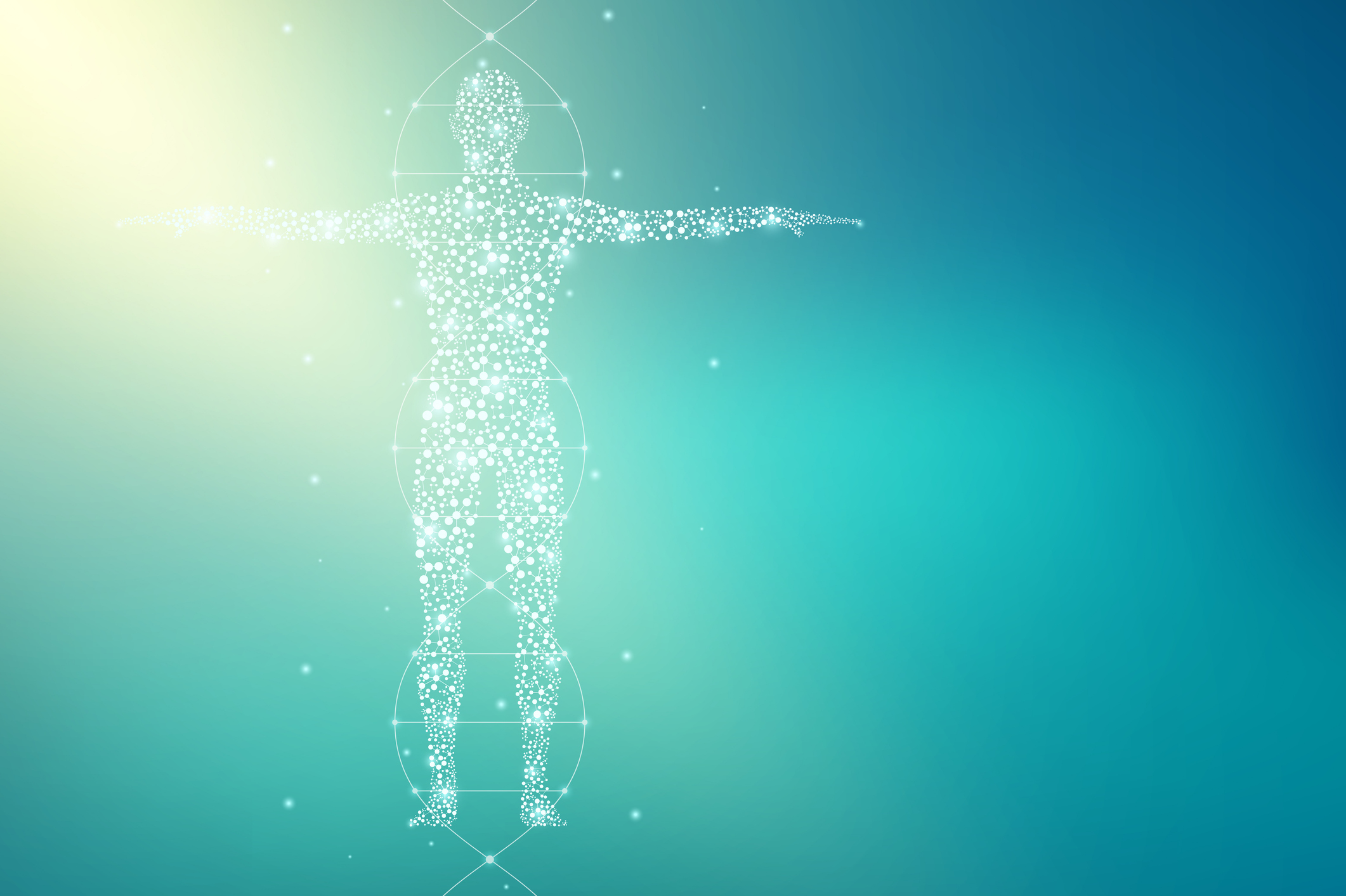 Sistema endocannabinoide: Qué es y cómo influye en tu bienestar
