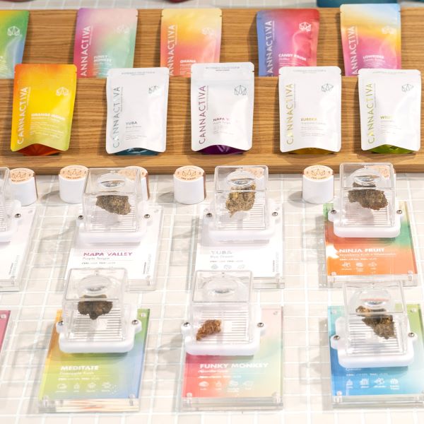 Expositor de Flores de CBD Premium de Cannactiva