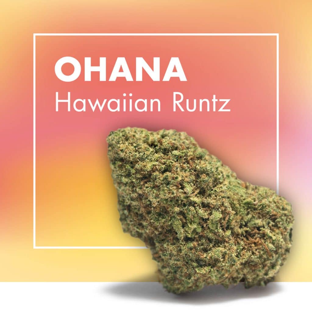 Flor de CBD Ohana (Hawaiian Runtz)