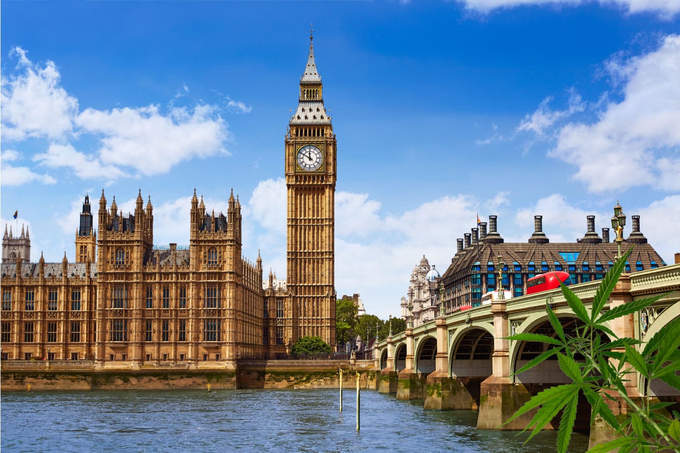 Situación legal del cannabis y el CBD en el Reino Unido