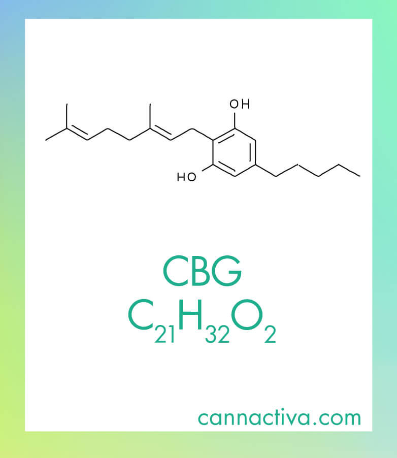 Estructura química del cannabigerol (CBG), un cannabinoide no psicoactivo presente en la planta de cannabis. La molécula de CBG se caracteriza por su núcleo bencénico con dos grupos hidroxilo (-OH) en las posiciones 1 y 3, un grupo pentil (C5H11) en la posición 5 y una cadena lateral 3,7-dimetilocta-2,6-dien-1-il en la posición 2. A diferencia del cannabidiol (CBD) y del tetrahidrocannabinol (THC), el CBG mantiene una estructura lineal en su cadena lateral y carece de ciclos adicionales. El THC contiene un ciclo adicional en su estructura y el CBD posee una cadena con un grupo oxígeno en forma de éter. Estas diferencias estructurales son fundamentales para las distintas propiedades y efectos biológicos de cada cannabinoide.