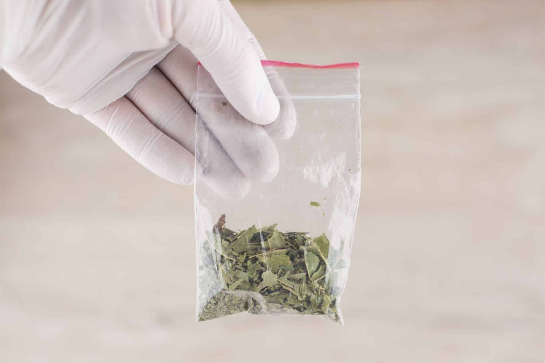 Marihuana sintética: Los peligrosos cannabinoides sintéticos