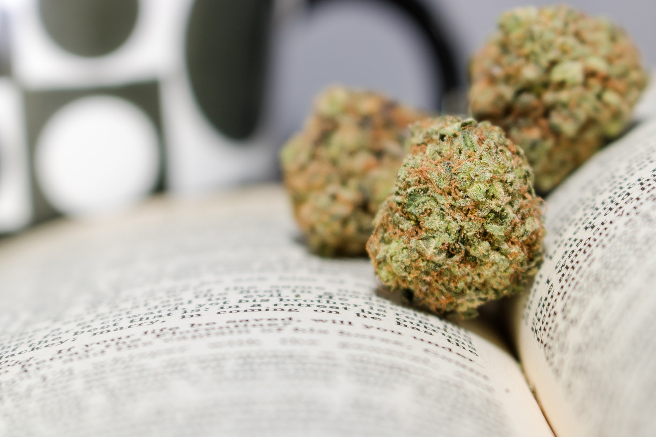 Los mejores libros sobre cannabis: aprende todo sobre la marihuana y su cultura