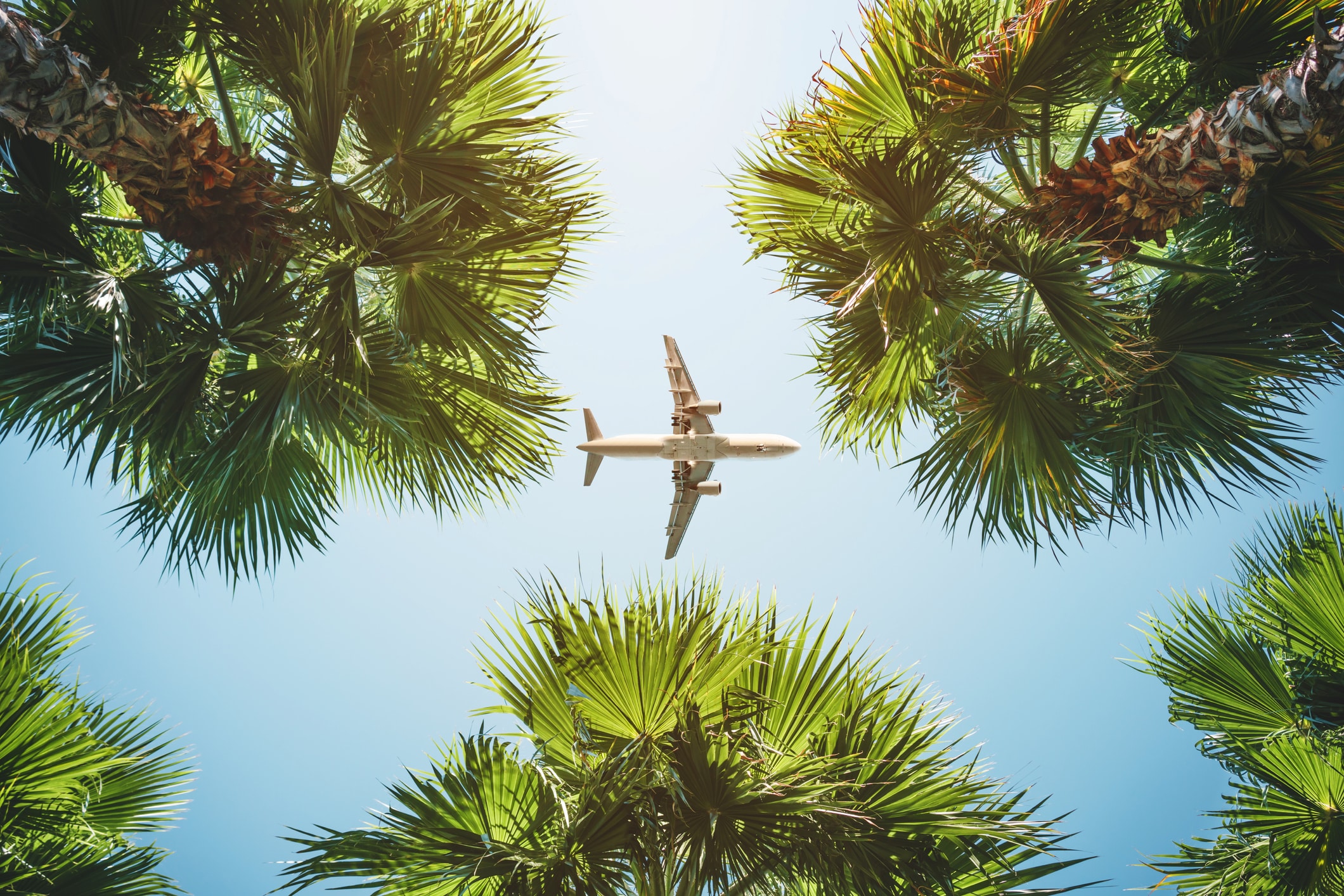 Viajar con CBD en 2026: Guía Legal Completa por Países