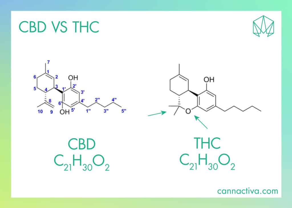 Diferencias entre CBD y THC