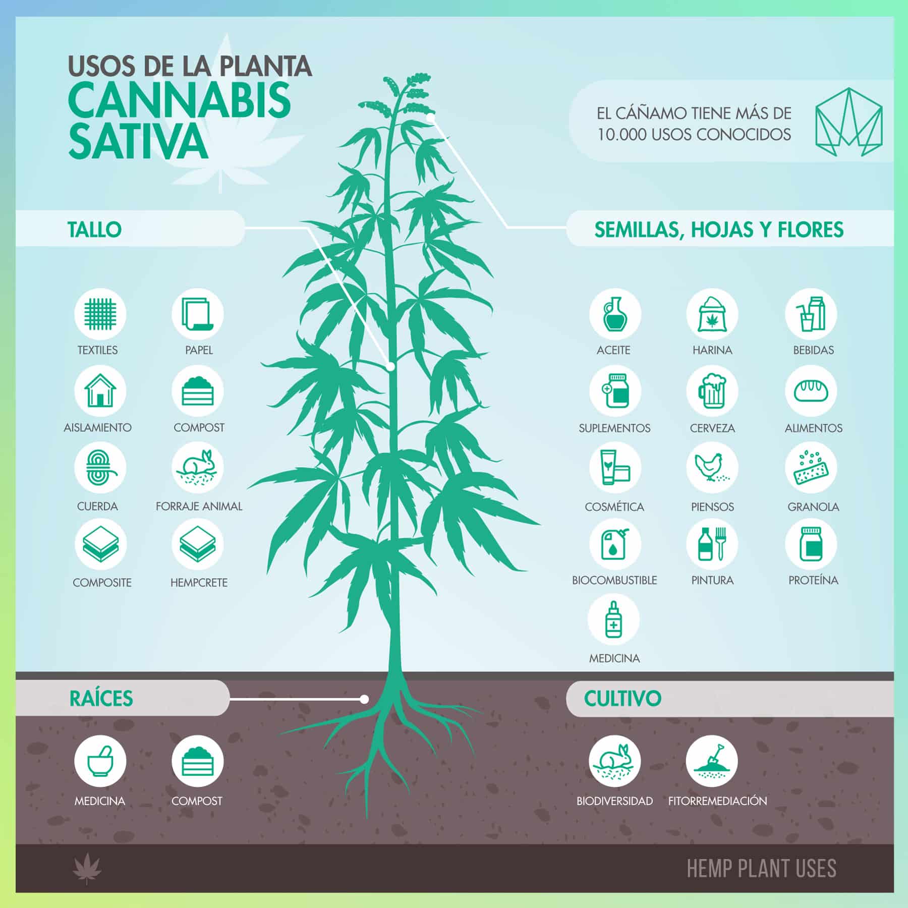 Infografia usos ecologicos del cañamo