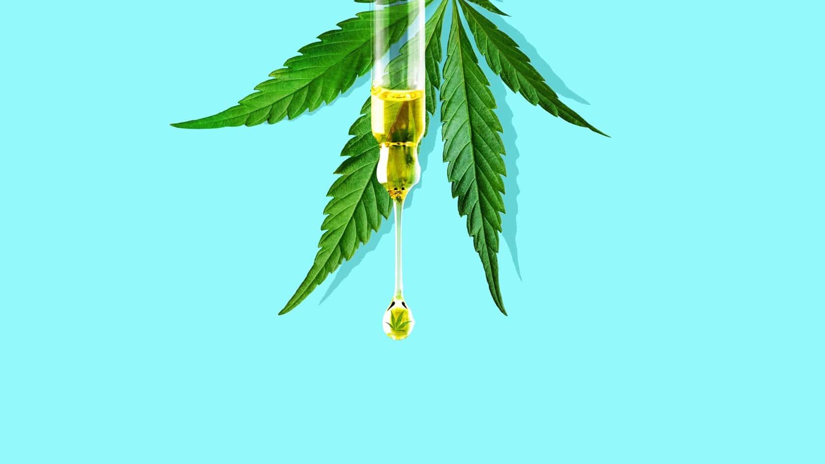 Tipos de aceite de CBD: Descubre cuál se adapta mejor a tus necesidades