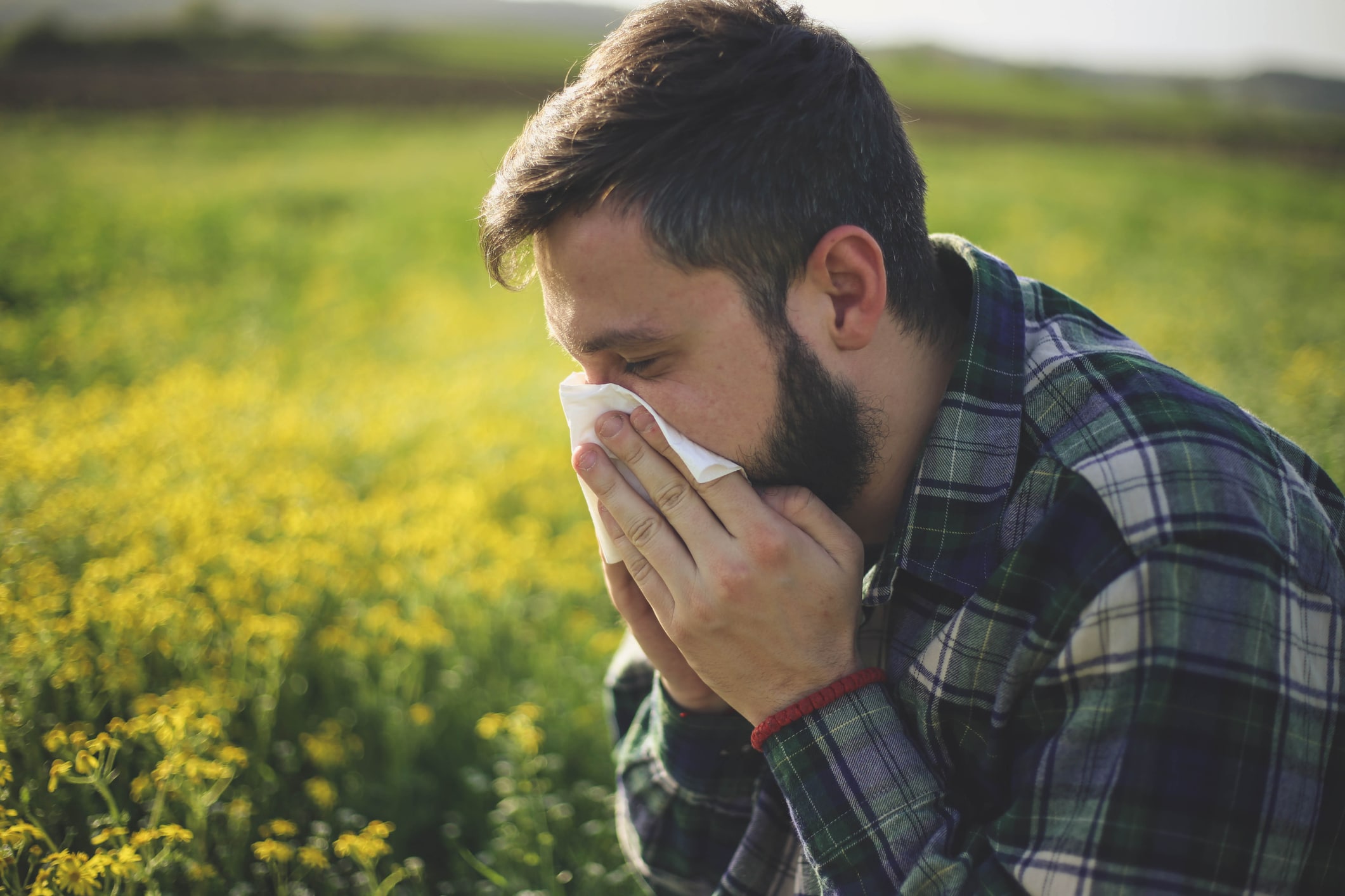 ¿El CBD puede reducir los síntomas de la alergia?