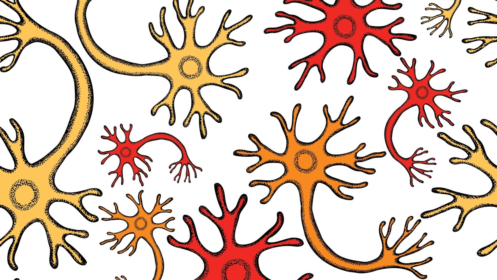 CBD como neuroprotector: ¿Qué es esta propiedad del cannabidiol?