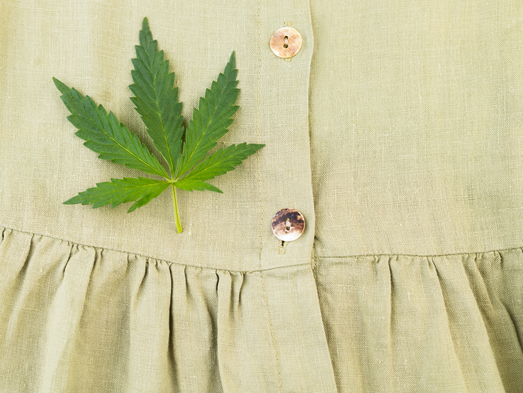 Tejido de cáñamo: la moda sostenible y ecológica