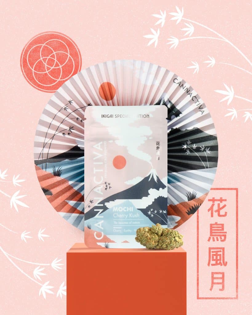 MOCHI (Cherry Kush) Flor de CBD de Edición limitada de Cannactiva, inspirada en el concepto IKIGAI - Verano 2023