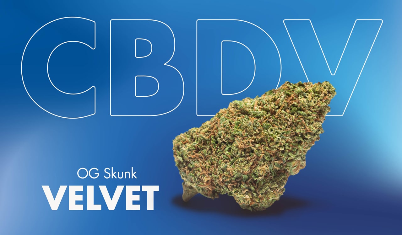 ¿Qué es la CBDV? Descubre Sus Beneficios