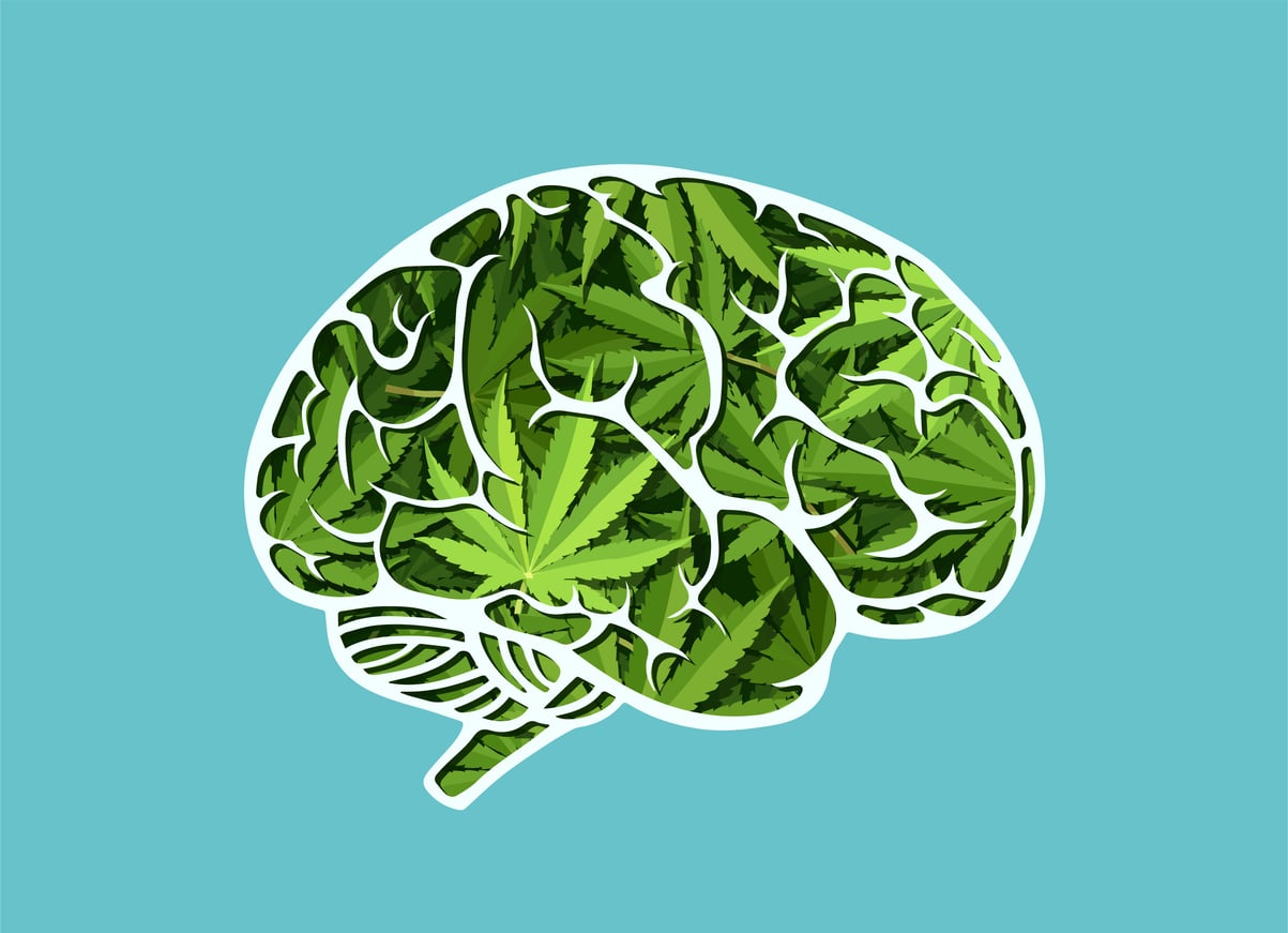 ¿Es verdad que la marihuana es mala para el cerebro?