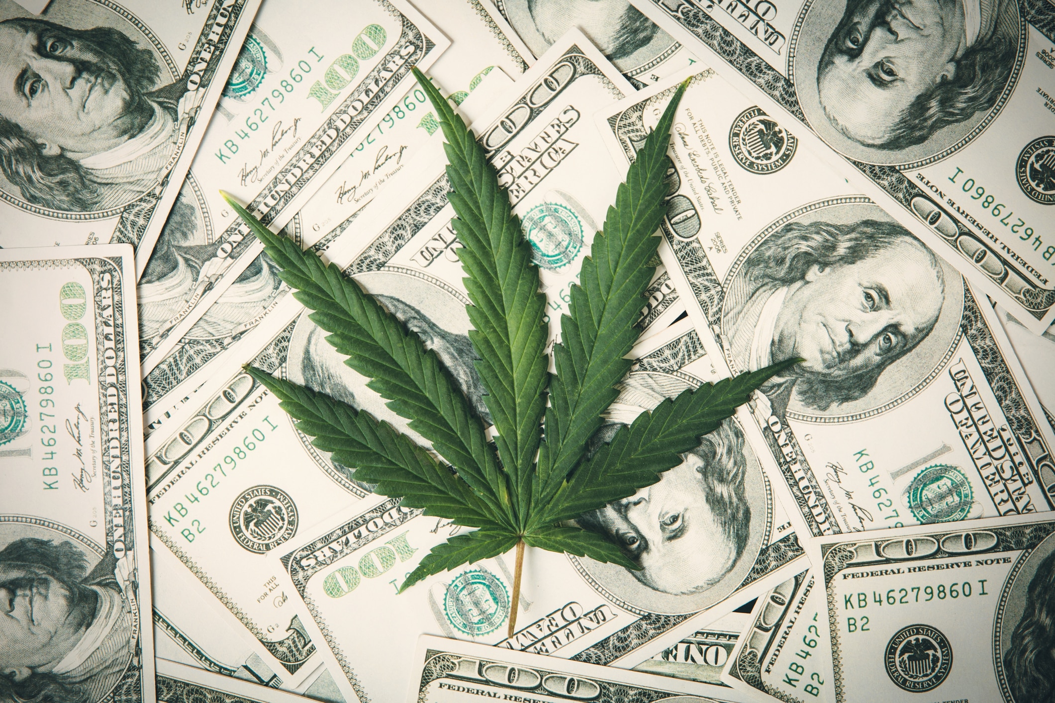 Marijuana Banking bill: Nuevo Impulso para el Cannabis en Estados Unidos