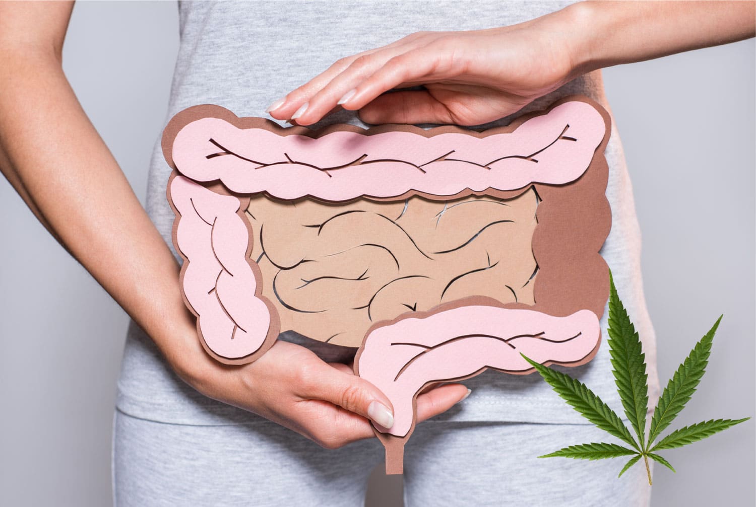 CBD para enfermedades intestinales: Investigación actual sobre sus potenciales beneficios