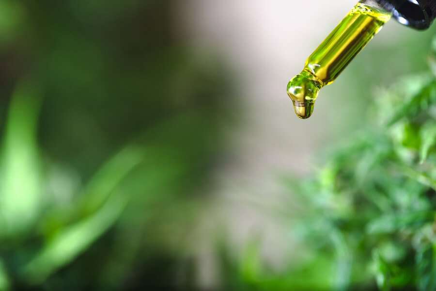 ¿Cómo se obtiene el CBD? Extracción de CBD