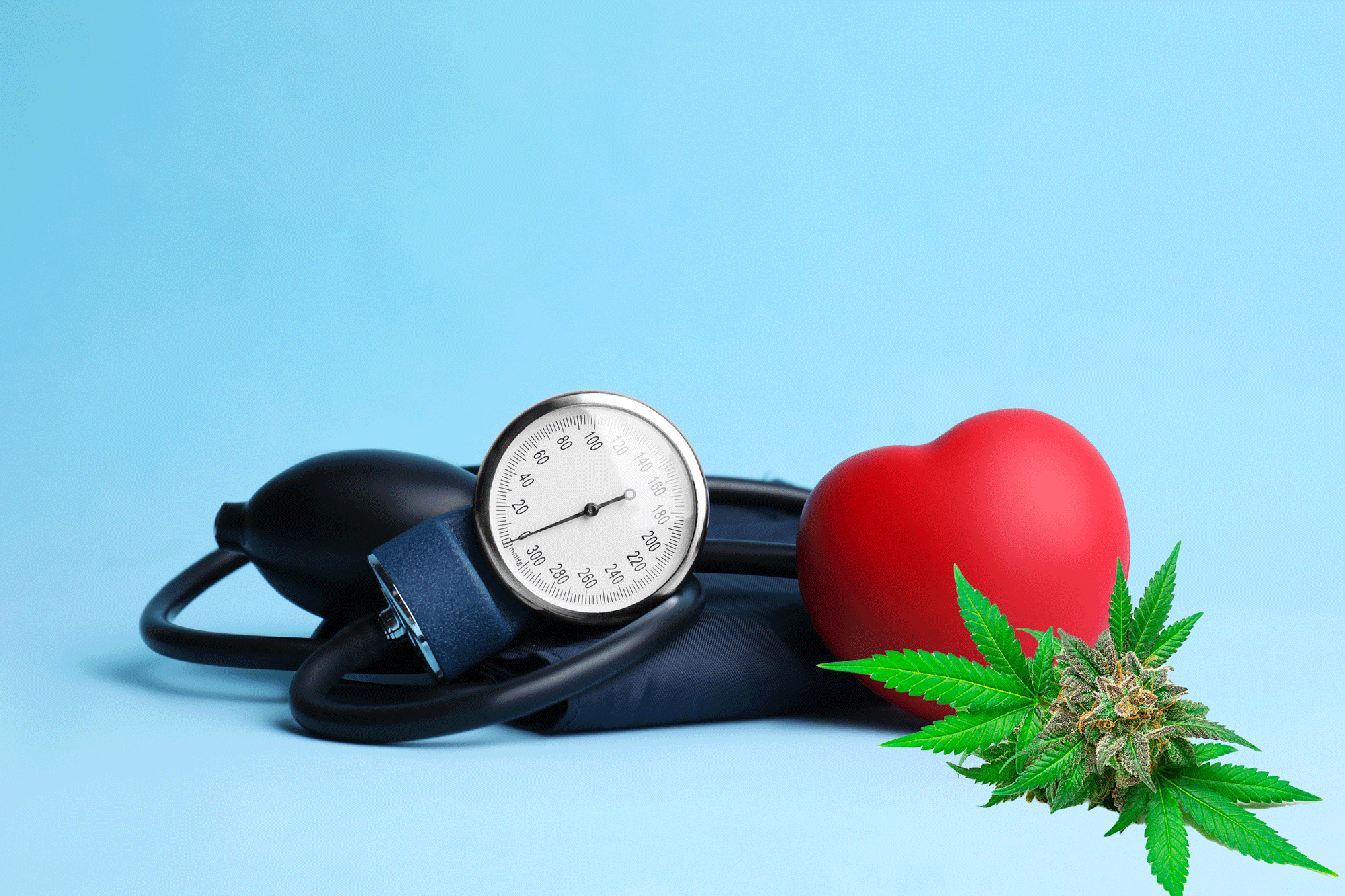 CBD para la Hipertensión: ¿Cómo afecta el cannabidiol a la presión arterial?