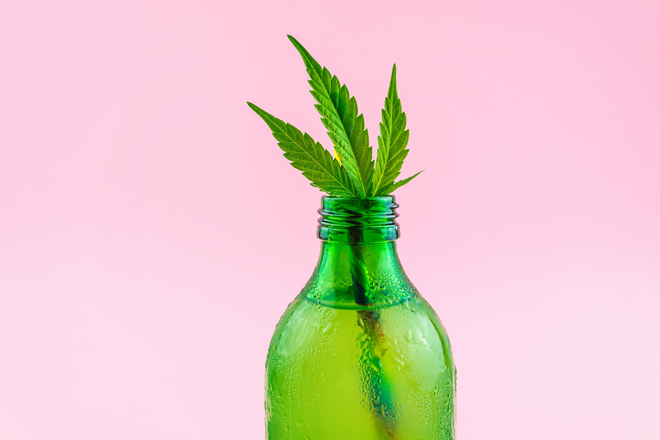 Efectos de combinar CBD y alcohol: Consumo de cannabis y alcohol
