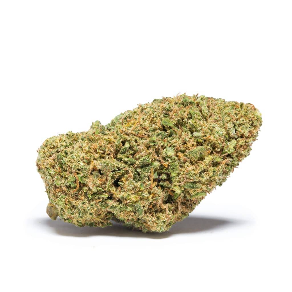 cogollo CBD tropical skunk