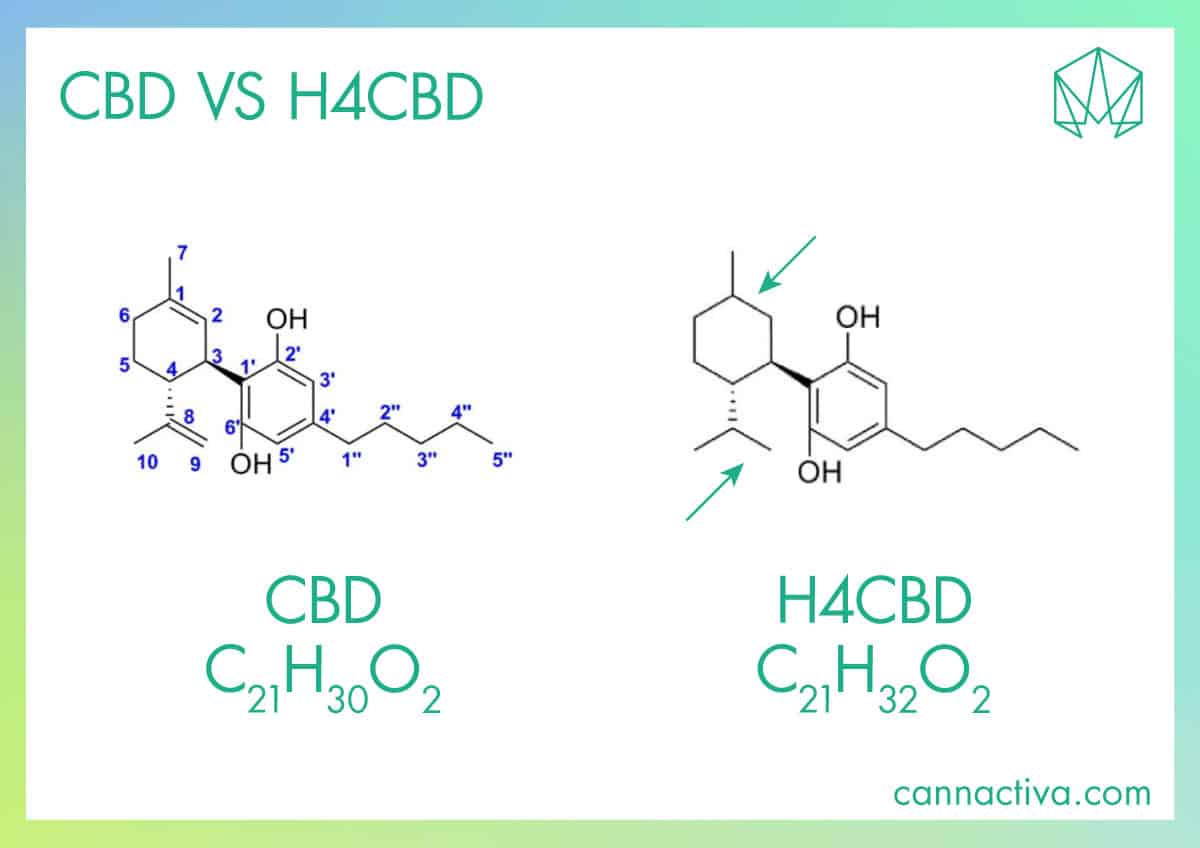 Diferencias entre CBD y HHC