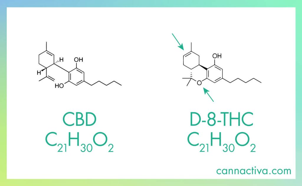 Fórmula química y molécula de CBD y Delta 8 THC, donde se aprecian sus diferencias.