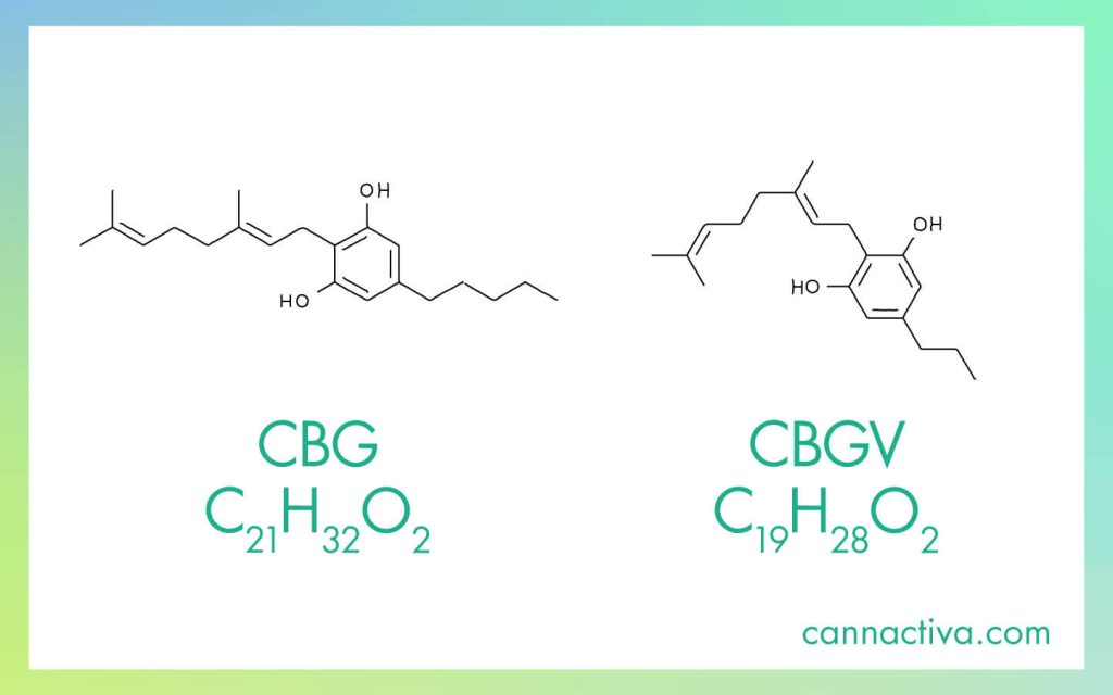 Fórmula química y molécula de CBG y CBGV, donde se aprecian sus diferencias.