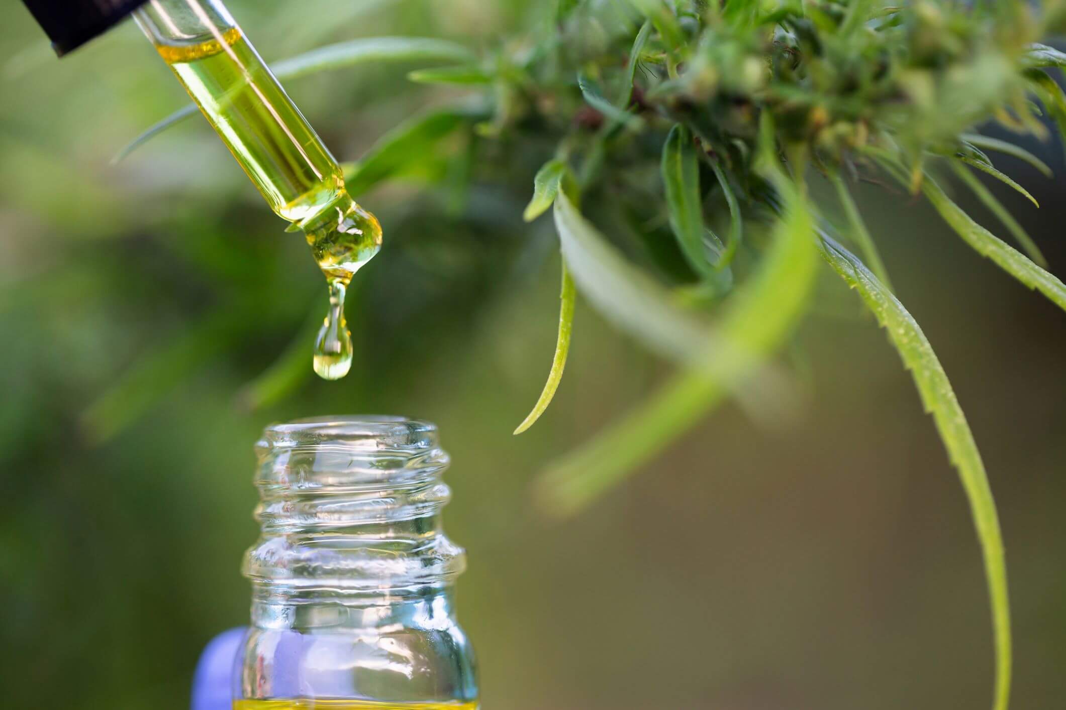 ¿Qué es el Delta-8-THC? Efectos y Riesgos Potenciales