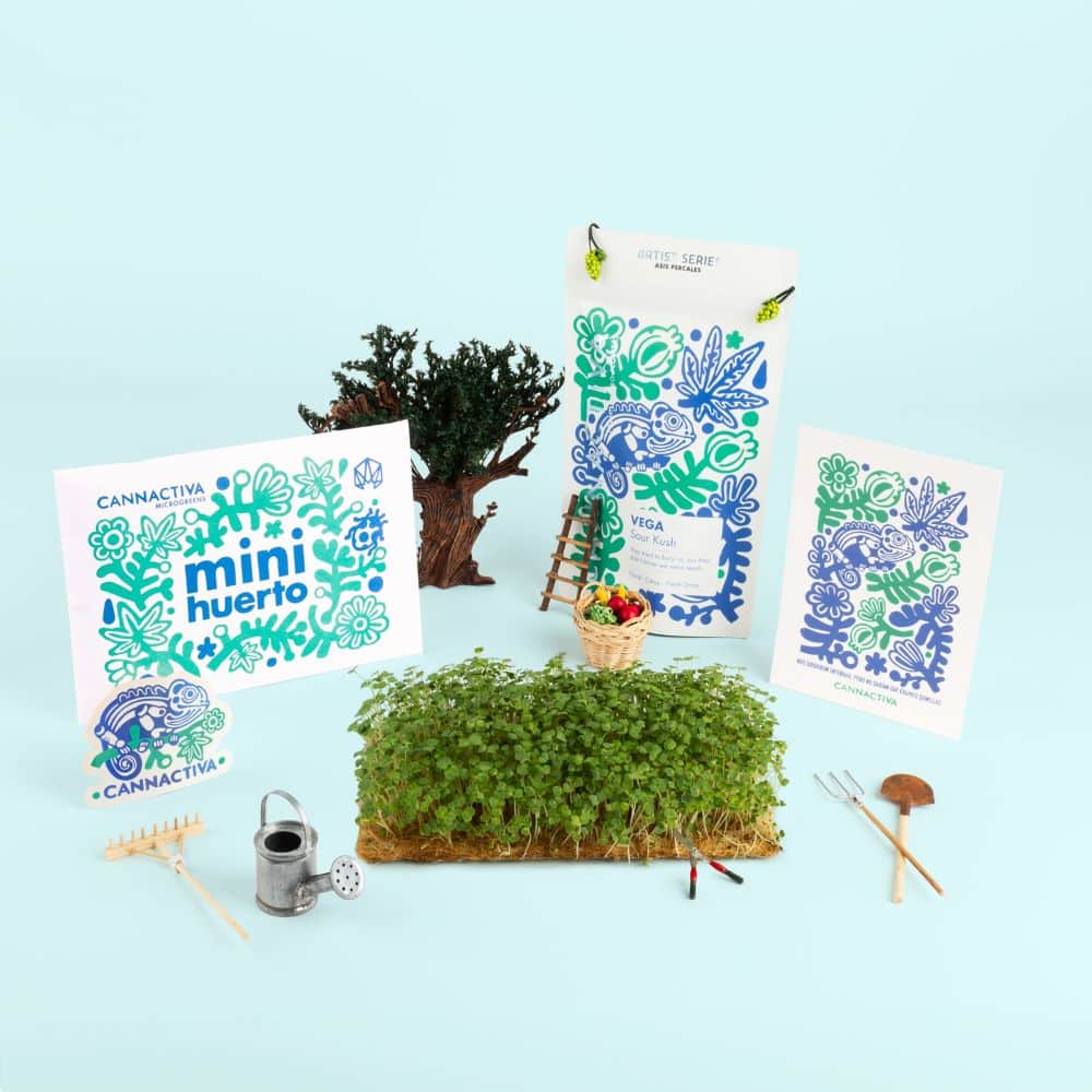 Postal Primavera 2024 de Cannactiva por Asís Percales