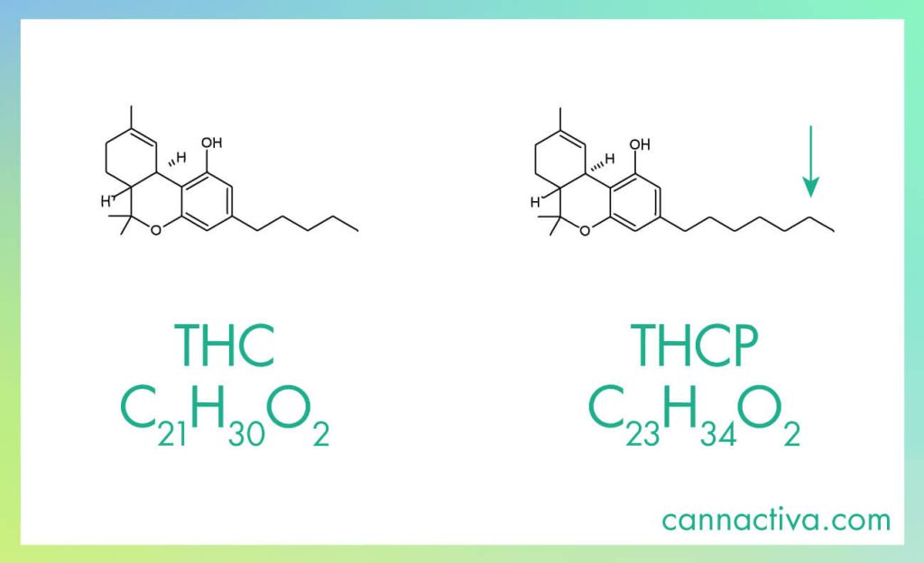 Fórmula química y molécula de Delta-9-THC y THCP, donde se aprecian sus diferencias.
