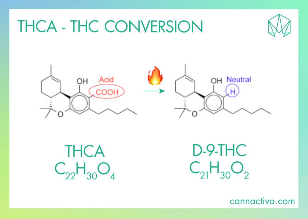 El THCA se convierte en el cannabinoide psicoactivo THC por acción del calor. Este proceso químico se conoce como descarboxilación o activación de los cannabinoides. 